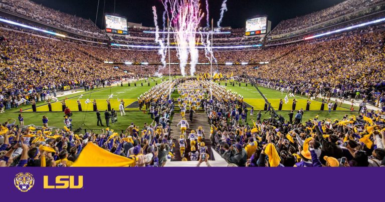 amt-1c20f81867e9b81bffe6033d8e4a17a0d98f401f-cacdd31e-lsu6030_football_fireworks